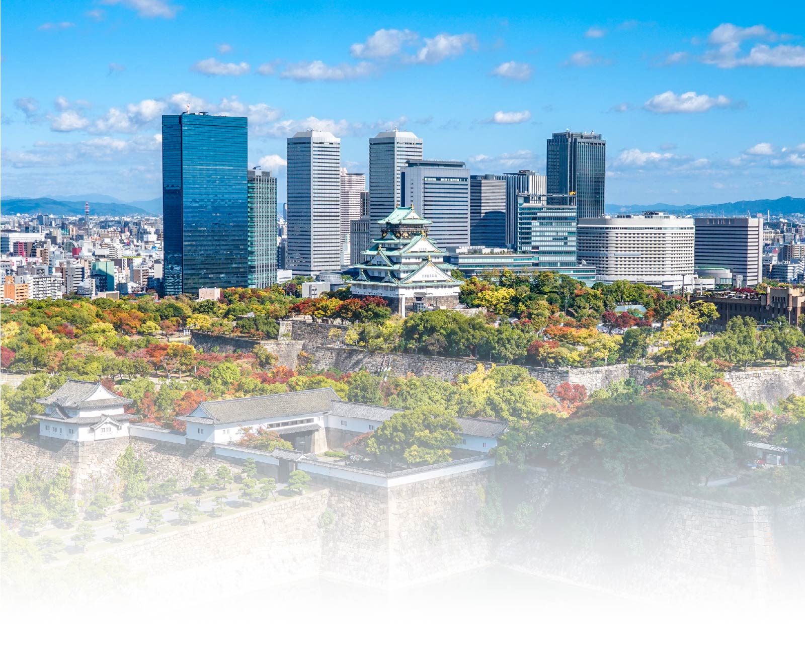 【業界最安値・簡単見積り】大阪全域の単身・ファミリー引越しなら「ワンワンマークの引越センター」にお任せください！（顧客満足度No.1／不用品買取・引取／業界最安値に挑戦）